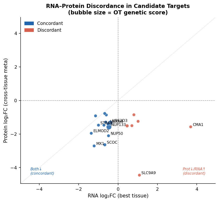 RNA vs protein logFC scatter for the 19-gene shortlist with bubble size proportional to OT genetic score