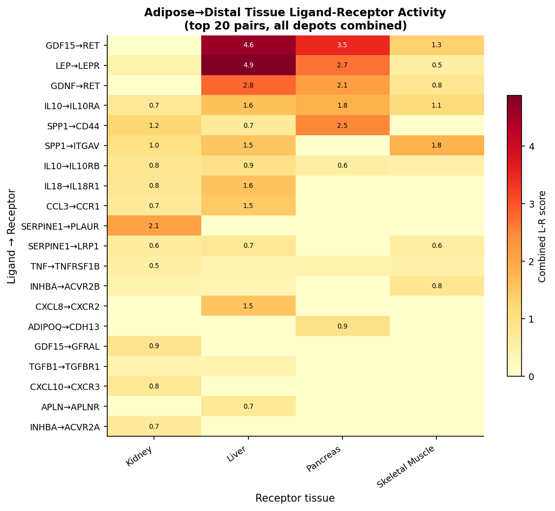 Adipose to distal-organ ligand-receptor crosstalk heatmap of top 20 pairs