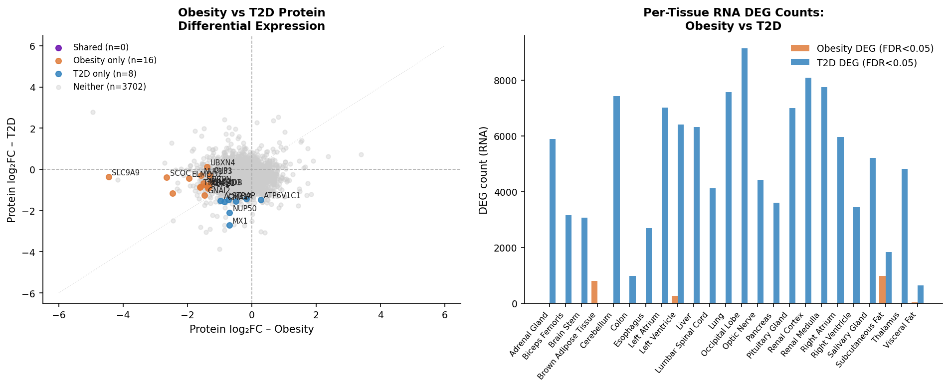 Per-tissue RNA DEG counts and protein obesity vs T2D quadrant