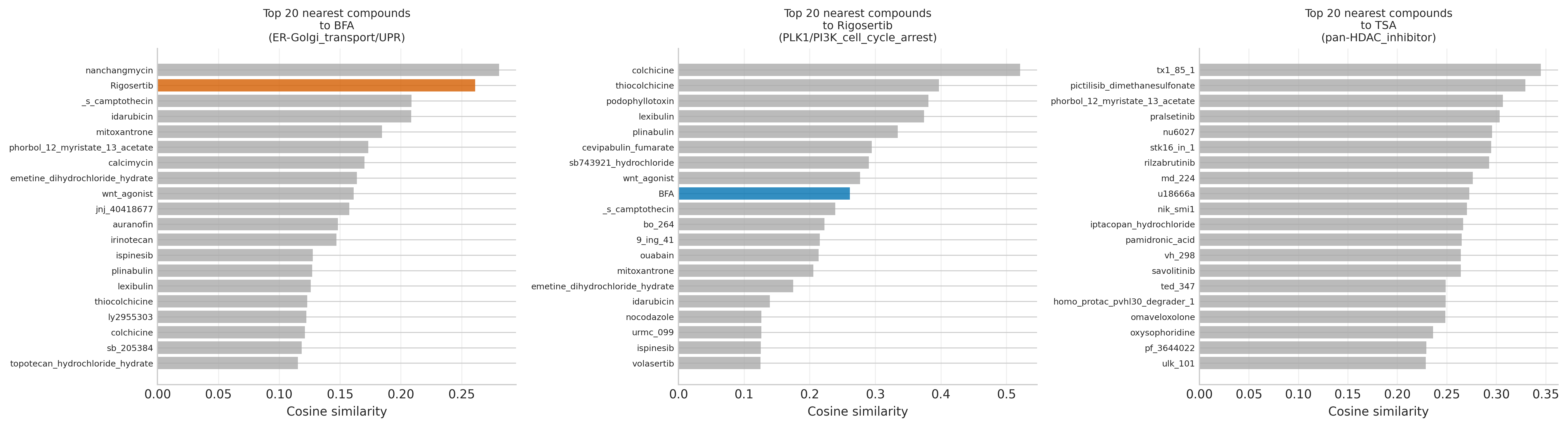 Rigosertib's top nearest neighbours dominated by tubulin-destabilising agents