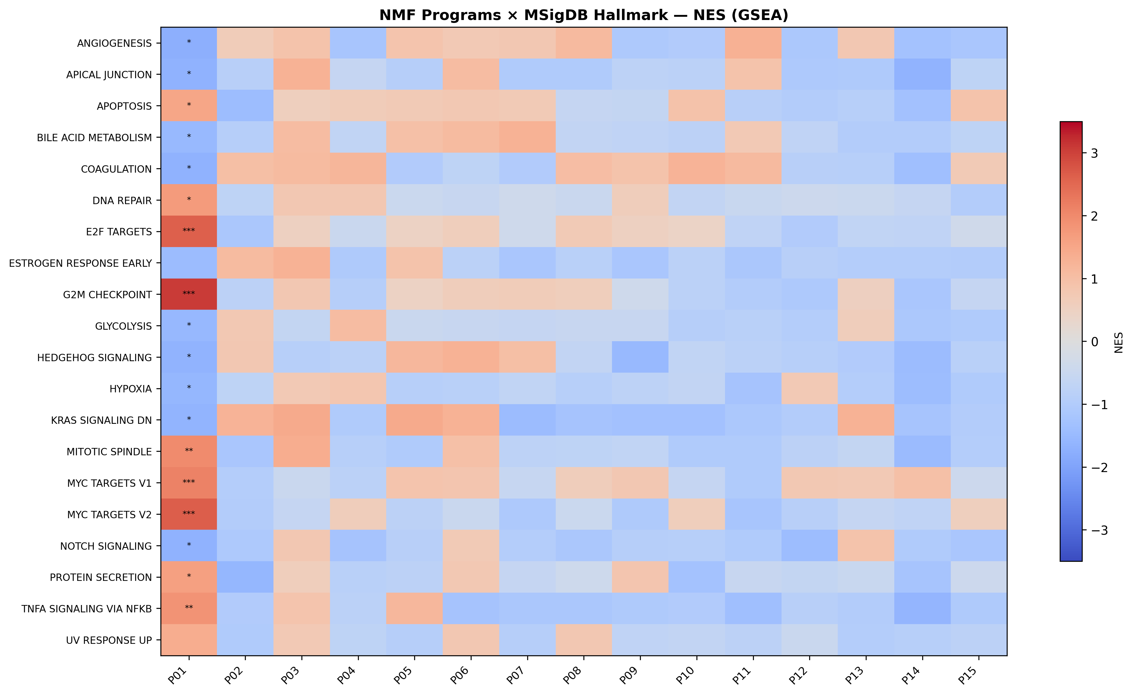 GSEA Hallmark NES across NMF programs