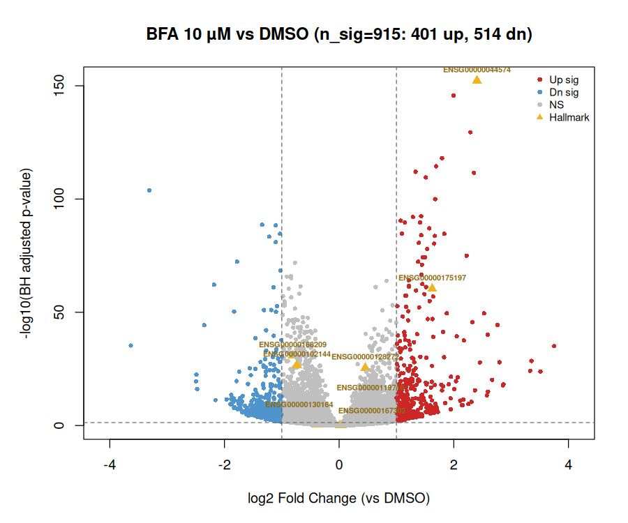 BFA 10 µM volcano plot