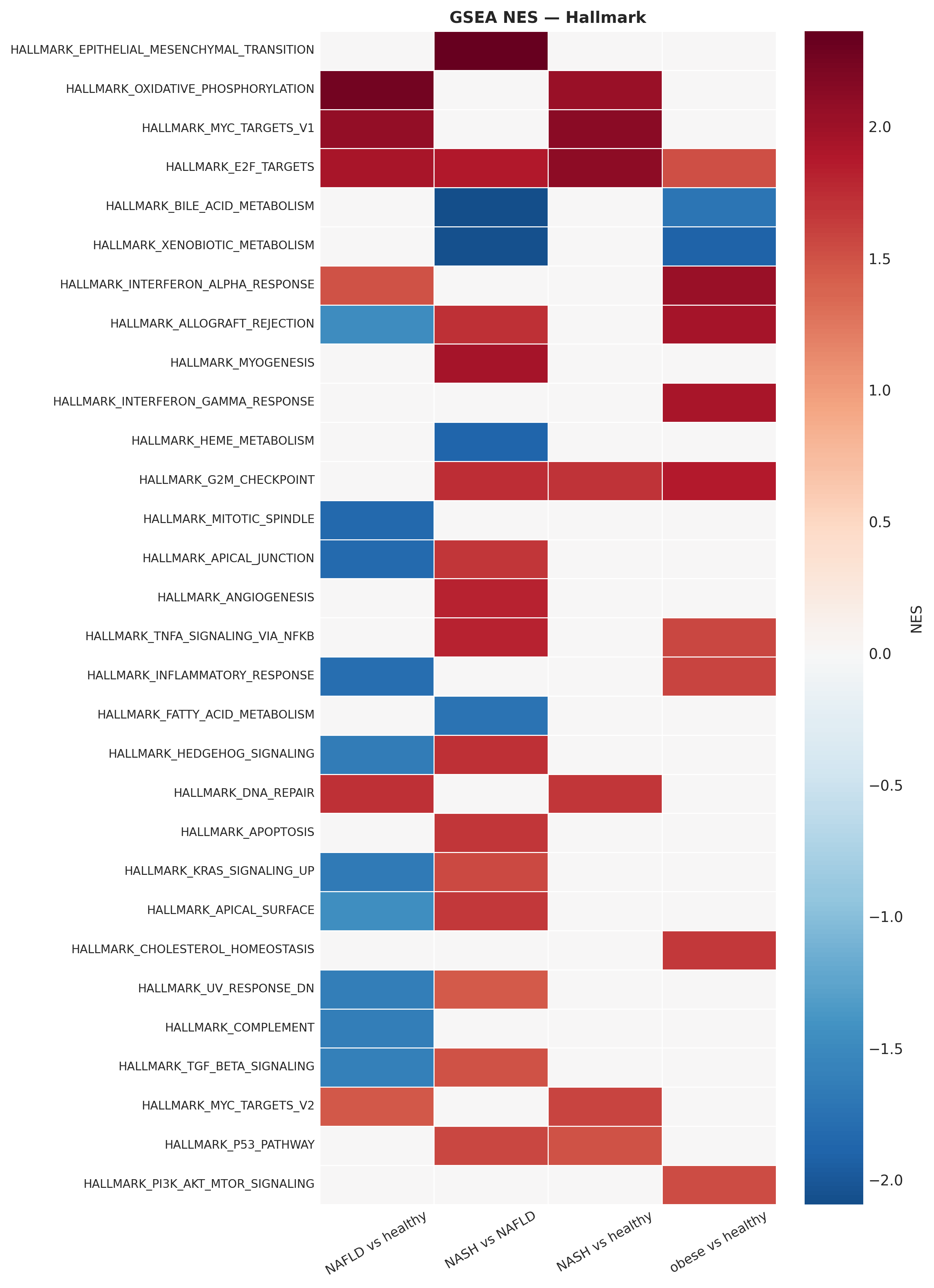 Cross-contrast GSEA Hallmark pathway heatmap