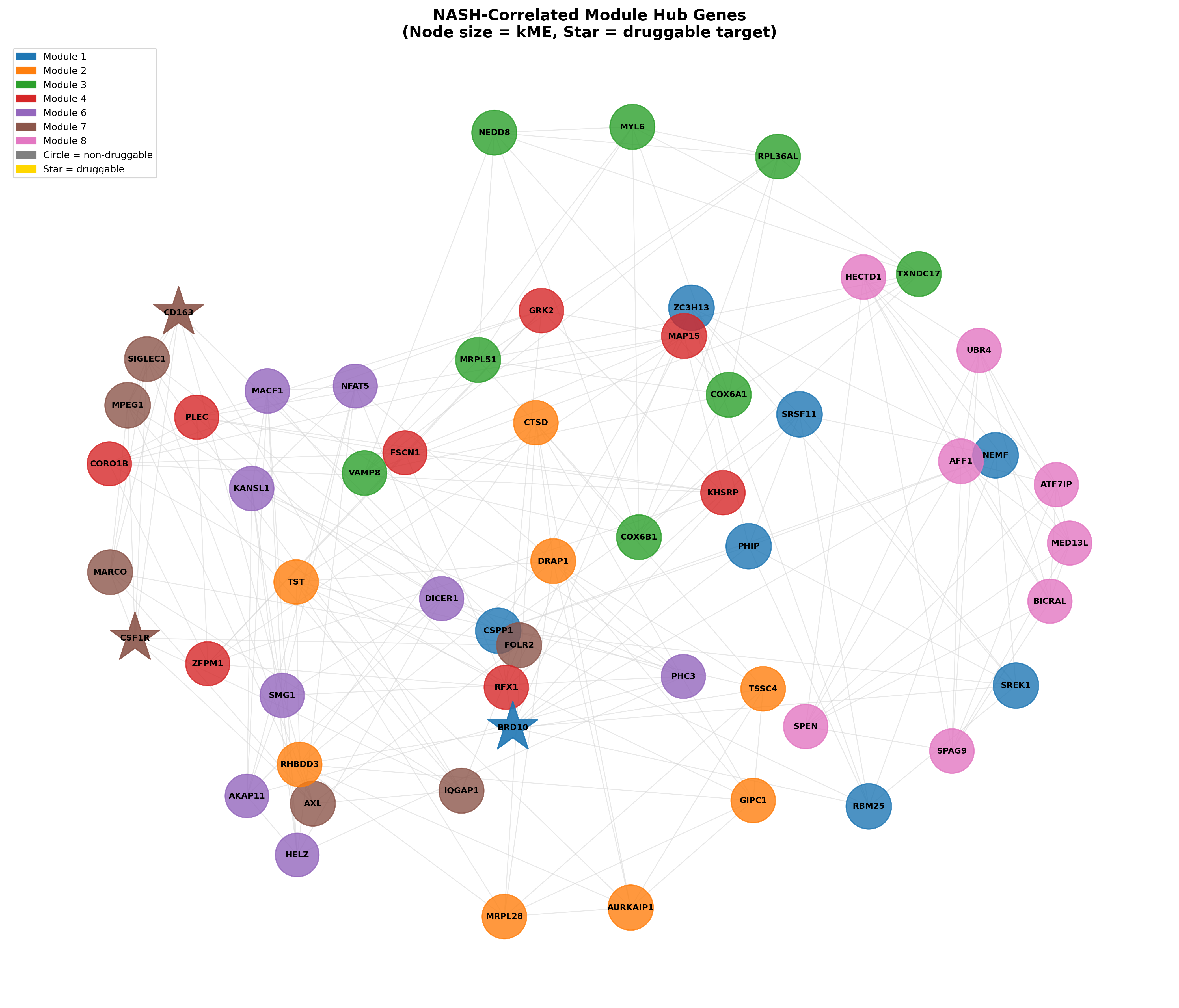 Hub gene network for NASH-associated modules