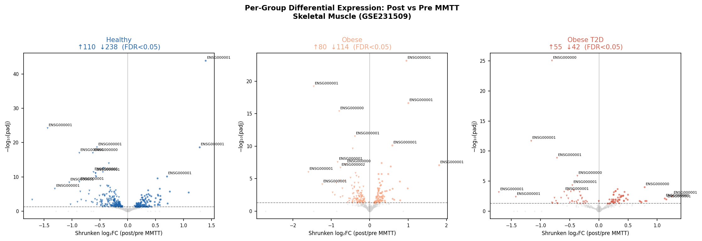 Per-group paired volcano plots for Healthy, Obese, and Obese+T2D
