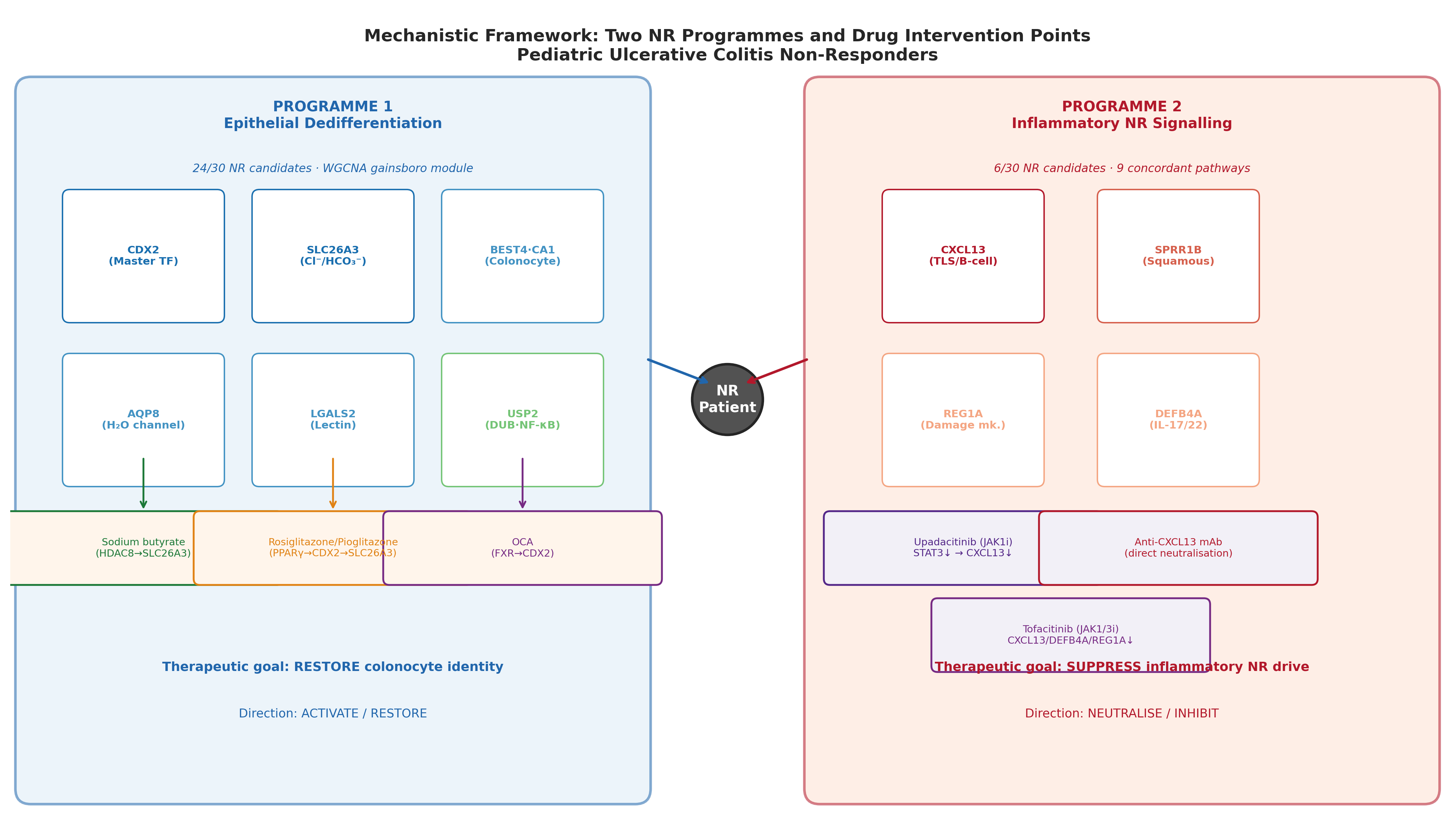Two-programme architecture: loss of colonocyte identity (A) + active inflammatory signalling (B)