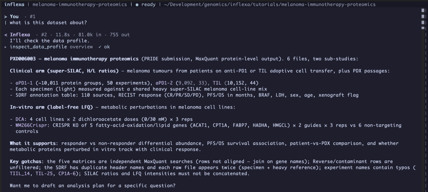 Inflexa answering what the dataset is, from the data profile, with per-file protein-group and experiment counts