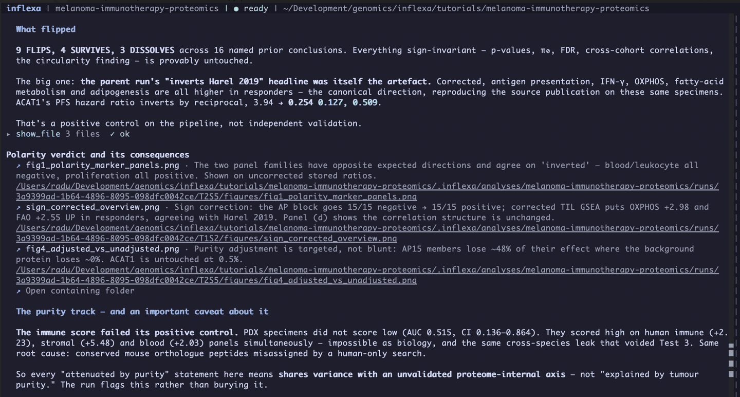 The second run reporting the flip ledger, then reporting that the purity score failed its own control