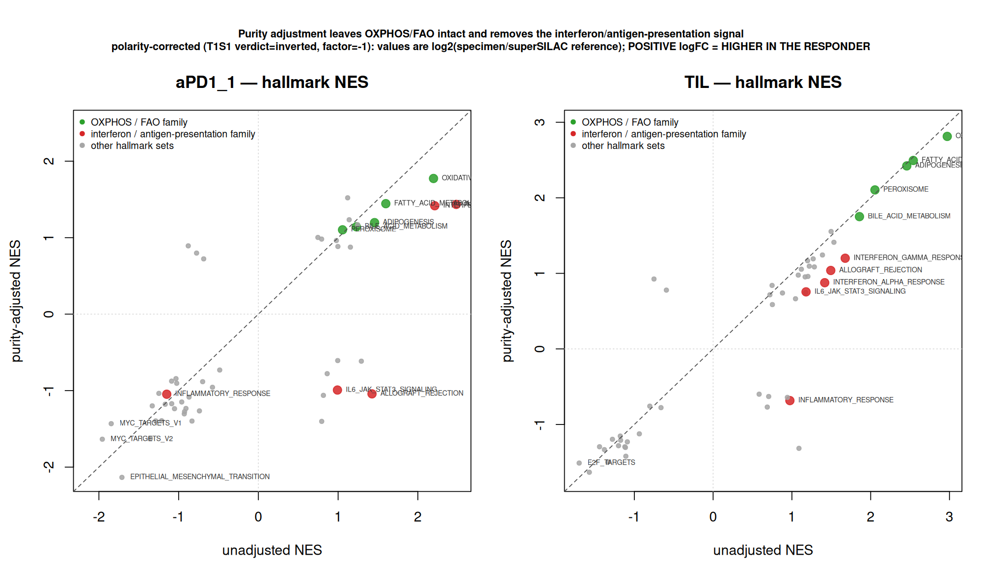 Hallmark enrichment scores before and after purity adjustment, with metabolic sets on the identity line and interferon sets falling below it