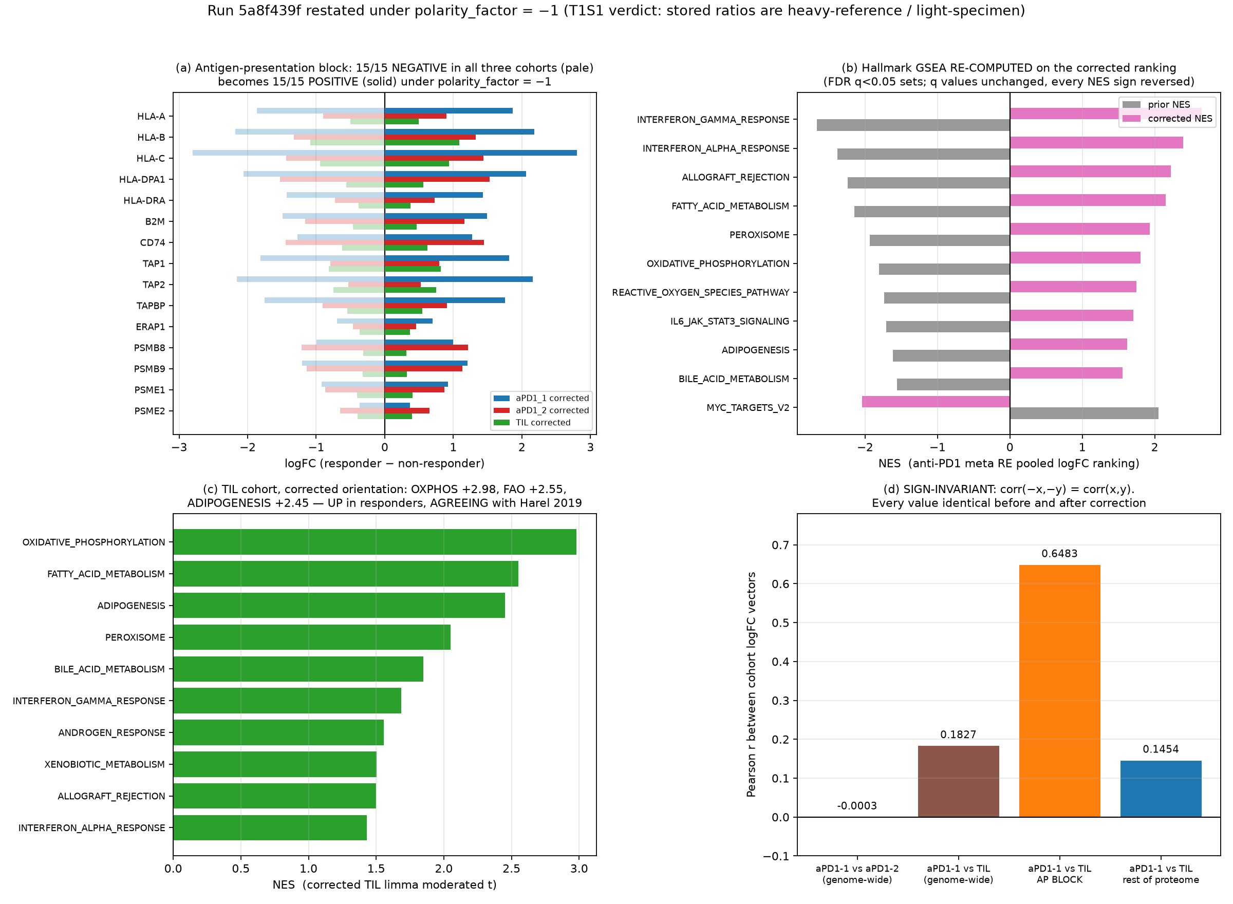 Four panels showing the antigen-presentation block, hallmark scores and correlations before and after the sign correction
